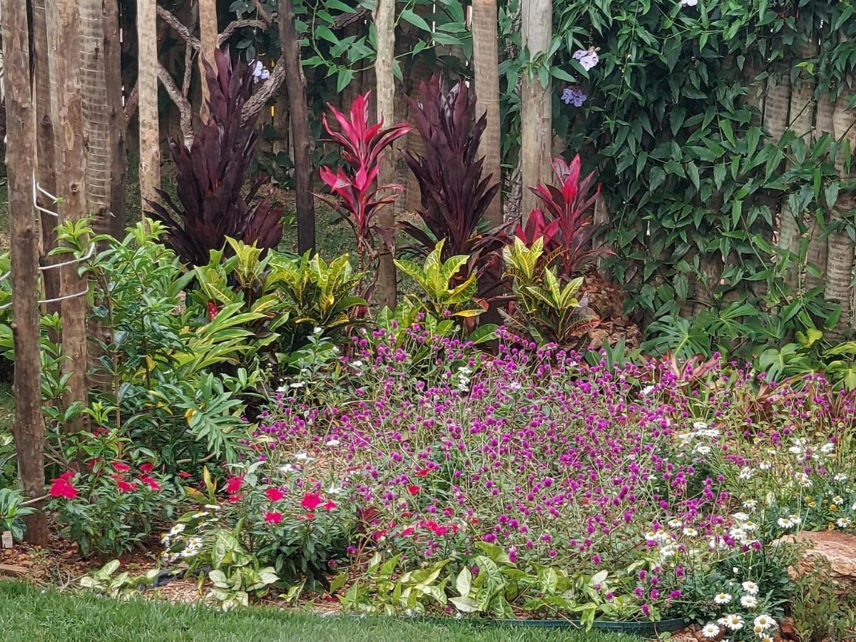 Statera Host Villa Alto Paraiso de Goias Ngoại thất bức ảnh